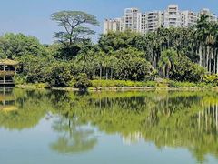 -中国科学院华南植物园
