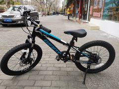 -GIANT捷安特自行车专卖店(金桥台儿庄路店)