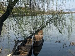 -西昌邛海湿地