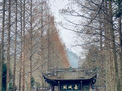 -青城山