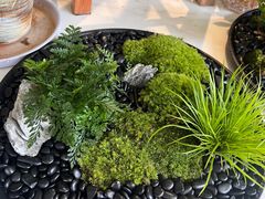 -溪岸路花鸟市场