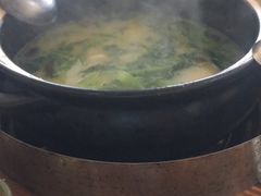 -15年老字号鑫鑫猪肚鸡·椰子鸡海南火锅(兴隆华侨农场店)