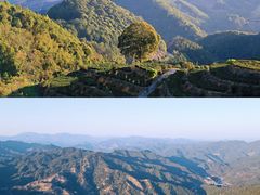 -天台国家森林公园水上茶乡九鹏溪