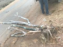 -漳州佰翔圆山酒店·圆山畔西餐厅