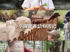 -呀路古热带植物园