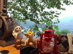 -马灯部落·西湖边的创意山景餐厅(虎跑动物园店)