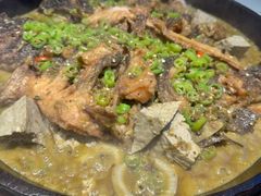 -老板恋上鱼(恒隆广场店)