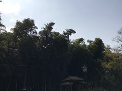 -龙寺生态园