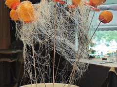 -巴盟人家·内蒙地方菜(华丽家族店)