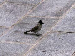 -崇圣寺三塔文化旅游区