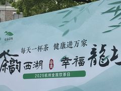 -龙坞茶村