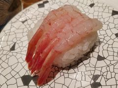 -大起水产回转寿司(道顿堀店)
