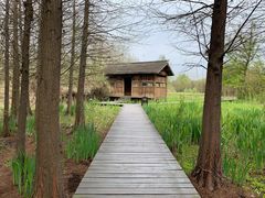 -溱湖国家湿地公园