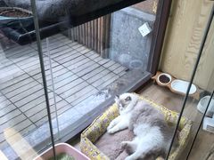 -派联宠物医院·24h·CT·异宠