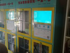 -爱乐梵国际儿童教育中心(古美店)