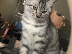 -安安宠医·臻爱宠物医院·宠保定点(营门口路分院)