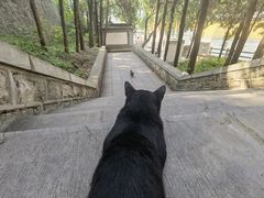 -四门塔风景区