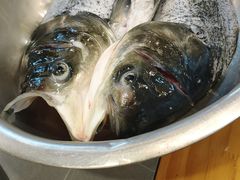 -小团圆灶台鱼·百城头牌菜(千岛湖店)