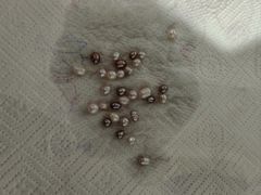 -十八字金·银饰·开蚌DIY·手工体验团建(魏公芳华里店)