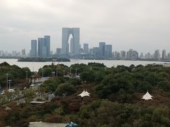 -苏州金鸡湖文博诺富特酒店