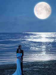 -拾尚映画·STUDIO婚纱摄影(中关村店)