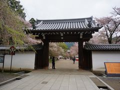 -醍醐寺