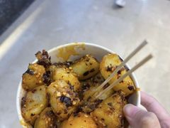 -周小亮丁家坡洋芋(全国总店)