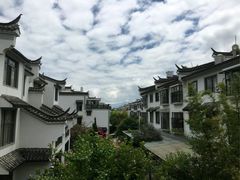 -姚记抚仙湖野生菌石锅鱼庄