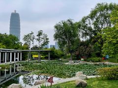 -郑东新区湿地公园