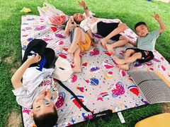 -长春市南湖公园