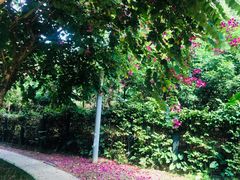 -中国移动南方基地