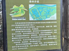 -盐城丹顶鹤湿地生态旅游区