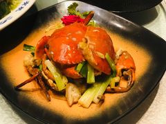 -外高桥喜来登酒店采悦轩