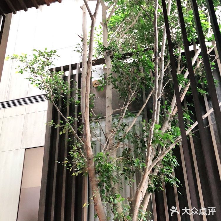 口味环境给A➕的粤菜馆