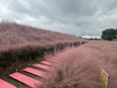 -嘉北郊野公园