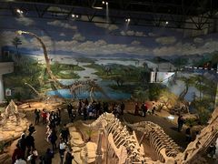 -自贡恐龙博物馆