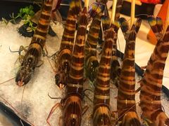 -鲜入围煮花胶鸡海鲜火锅