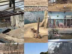 -沈阳森林动物园