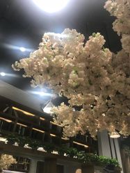 -简影造型·自选烫染接发salon