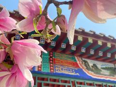 -丰台花园