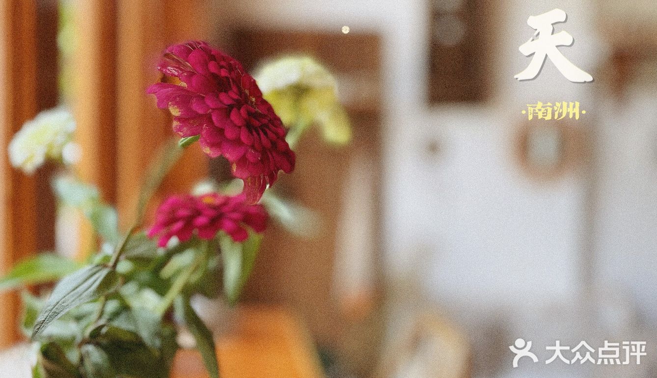 海珠｜森系治愈咖啡馆·南洲的慵懒情调🍃