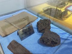 -上海昆虫博物馆