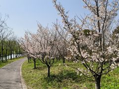 -广富林郊野公园