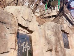-高尔山公园