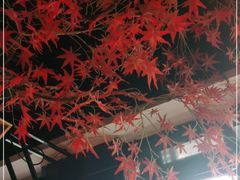 -要德火锅(鼓楼店)