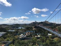 -西霞口神雕山野生动物世界