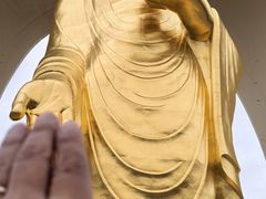-庐山风景名胜区-东林大佛