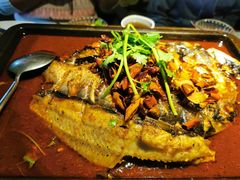 -探炉·香辣豆花烤鱼(雄峰城店)