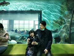 -福州罗源湾海洋世界旅游区