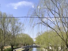 -元大都城垣遗址公园